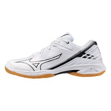 Mizuno 美津濃 WAVE CLAW 3 男羽球鞋
