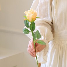 센트바스켓 조화 샤만로즈 실크플라워 장미, 버터옐로우, 1개 버터옐로우, 1개