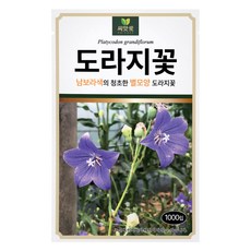 다농 씨앗애 도라지꽃 씨앗 1000p, 1개 1개