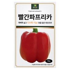 다농 씨앗애 빨간파프리카 씨앗 10p, 1개