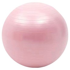 온모아 안티버스트 짐볼, 핑크