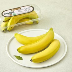 썬팜 유기농 인증 페루산 바나나, 1개, 500g 1개, 500g