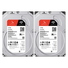 씨게이트 IronWolf NAS HDD 패키지 2p, ST12000VN0008, 12TB