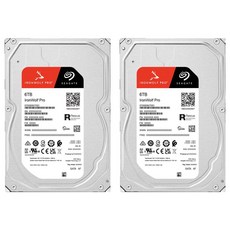 씨게이트 IronWolf PRO NAS용 HDD 2p, ST6000NT001, 6TB