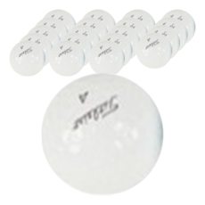 Titleist PRO V1 / V1X 二手高爾夫球 A+級, 2組, 10顆, 白色
