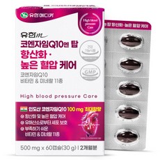 유한메디카 코엔자임 Q10 엔 탑 항산화 높은 혈압 케어 60p, 30g, 1개