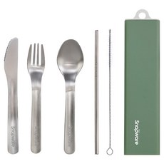 Corelle Brands 康寧餐具 Snapware 餐具5件組, 收納盒 + 餐刀 + 餐叉 + 湯匙 + 吸管 + 吸管刷, 1組, 綠色