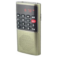 Dennys 丹尼斯 SD MP3 FM迷你錄音喇叭, 金色, MS-K588