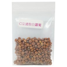 蔬菜工坊 迷你白蘿蔔種子 白玉品種 C12, 400個