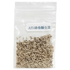 蔬菜工坊 綠捲鬚生菜種子 A53, 1600個