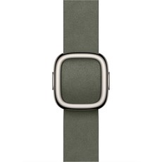 Apple 정품 2025 애플워치 모던 버클, 세이지 그레이, 1개, 42mm, Medium