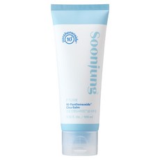 에뛰드 순정판텐소사이드10 시카밤, 100ml, 1개