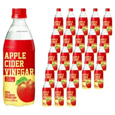 웅진 애사비 오리지널, 500ml, 24개
