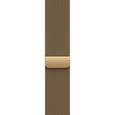 애플워치 밀레니즈 루프, 래디언트 골드, 46mm, S/M
