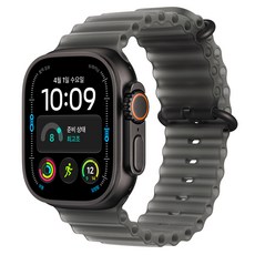 Apple 2026 애플워치 Ultra 4, 블랙, 49mm, GPS+Cellular, 트랜스루센트 블랙 오션 밴드, Free