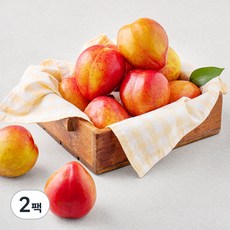 후무사자두 TOP01