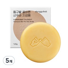 동구밭 올바른 샴푸바 지성용, 5개, 120g