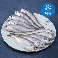 초록바다 영광굴비 (냉동), 0.8kg(10미), 1개