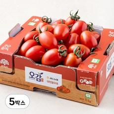 세도농협 GAP 인증 대추방울토마토, 1kg, 5박스