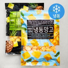 딜라잇가든 냉동 파인애플 청크 1kg + 냉동 망고 1kg (냉동)