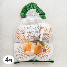 원농산 당도선별 신고배 3~4입, 4팩, 2kg