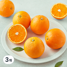 다조은 호주산 네이블 오렌지, 3개, 1.2kg