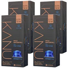 카누 바리스타 머신 전용 캡슐커피 와일드워터폴, 9.5g, 10개입, 4개 9.5g, 10개입, 4개