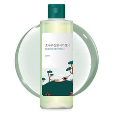 라운드랩 소나무 진정 시카 토너, 250ml, 1개