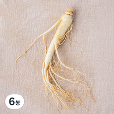 금산 세척 원수삼, 45g, 6봉
