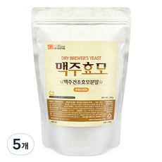 갑당약초 국내산 맥주건조효모 분말, 5개, 300g