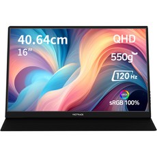 빅트랙 QHD IPS 120Hz 휴대용 모니터, 40.64cm, 160PM02