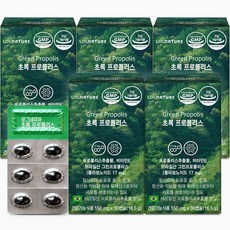 로그네이처 초록 프로폴리스 플라보노이드 영양제, 30캡슐, 5개, 30정