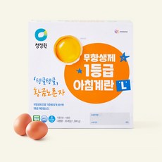 청정원 무항생제 1등급 아침계란 L, 1개, 25구