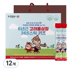 정원삼 6년근 고려홍삼정 365 스틱 키즈 30포 + 쇼핑백, 300ml, 12개