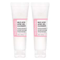 웰더마 지플러스 약산성 마일드 에시드 아크네 젤 클렌저, 120ml, 2개