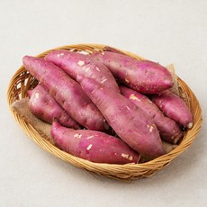 유기농 영암 세척 고구마, 1.5kg, 1봉