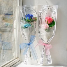 아스파시아 코린느 장미 카네이션 두 송이 꽃다발 + 메세지픽 + 쇼핑백 세트