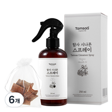 탐사 시나몬 스프레이 250ml + 계피칩 증정, 6개