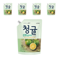 참그린 청귤 산뜻 설거지 주방세제 리필, 970ml, 5개 1kg, 5개