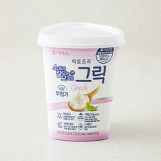 남양유업 불가리스 락토프리 그릭요거트, 1개 400g, 1개