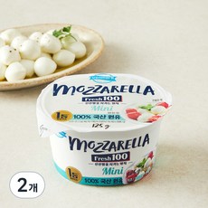 덴마크 후레쉬모짜 미니, 125g, 1개입, 2개