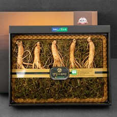 전북인삼농협 수삼 선물세트, 300g(5~6뿌리), 1박스