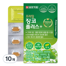 일양약품 프라임 징코 플러스, 30정, 10개