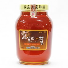 설악산허니팜 야생화꿀 1개 2.4kg