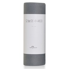 블루버킷 오늘의 수세미 60p, 1개, 그레이