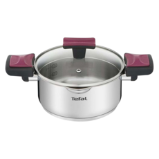 Tefal 特福 法國特福香頌不鏽鋼系列 雙耳湯鍋 附鍋蓋, 20cm, 單一顏色, 1組