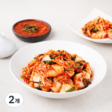 도미솔 싱싱생생 맛김치, 2개, 3kg