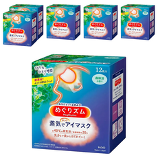 Kao 花王 MegRhythm 美舒律 蒸氣眼罩 12片, 舒緩疲勞, 任何姿勢都服貼, 6盒