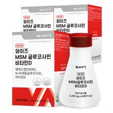 비타민마을 와이즈 MSM 글루코사민 비타민D, 60정, 3개