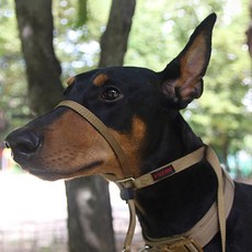 28230665662854-409203d7-eaf8-42f8-9e2e-749e6755dd04.jpg